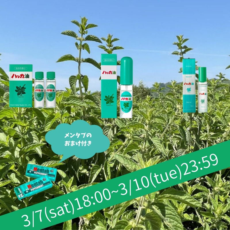 310 ハッカ油セット メンタブ付